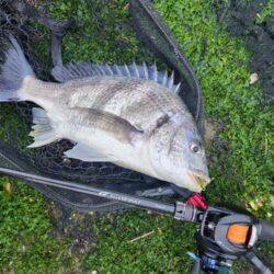 しごおわチニング