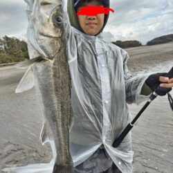 シーバス!息子釣果!今年初!