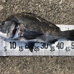 イチノ兄弟、釣果！