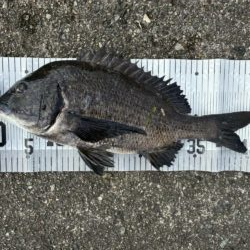 イチノ兄弟、釣果！