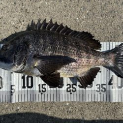 イチノ兄弟、釣果！