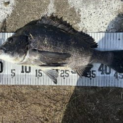 イチノ兄弟、釣果！