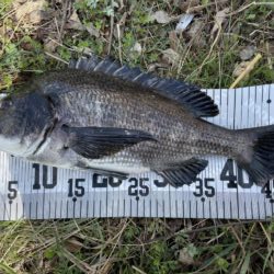 イチノ兄弟、釣果！