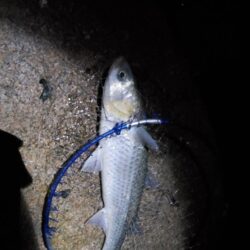 まだまだ厳しいかもです