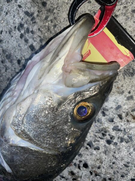 爆風ライトゲームでランカーGET❗️