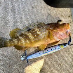 青物ジギング船で撃沈