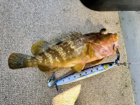 青物ジギング船で撃沈