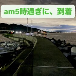 今年、初めての淡路島で、カレイ