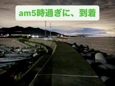 今年、初めての淡路島で、カレイ