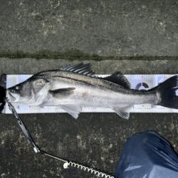 Xデイの前日大潮三日目でも楽しめた！