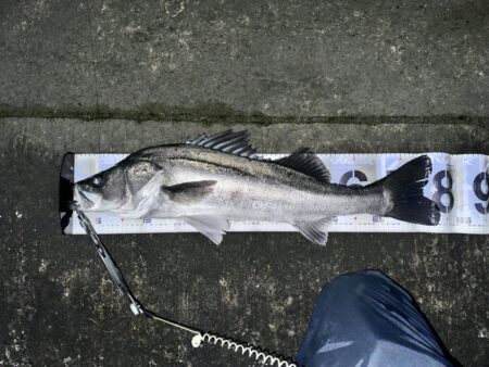 Xデイの前日大潮三日目でも楽しめた！