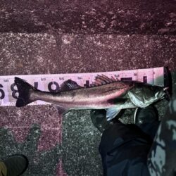 あるルアーで検証したらランカーキャッチ!