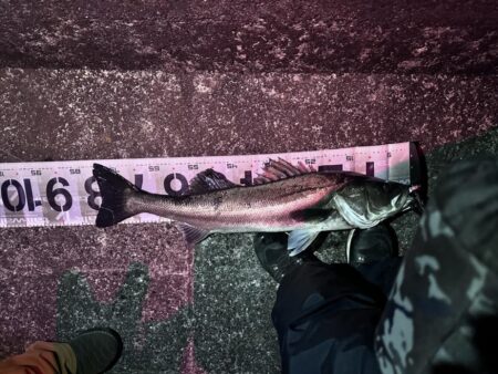 あるルアーで検証したらランカーキャッチ!