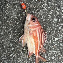 沖縄本部、穴釣り