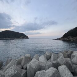 やはり水温か？