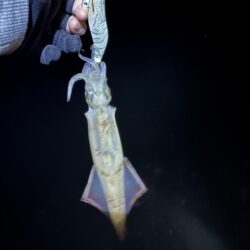 【常神半島】初ヤリイカ！