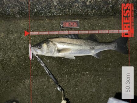 後中ってことはバチ抜けXDAY?