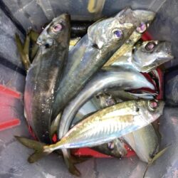 満潮潮止まり前後のフロートアジング