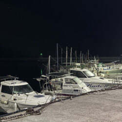 アジどこ居んの？