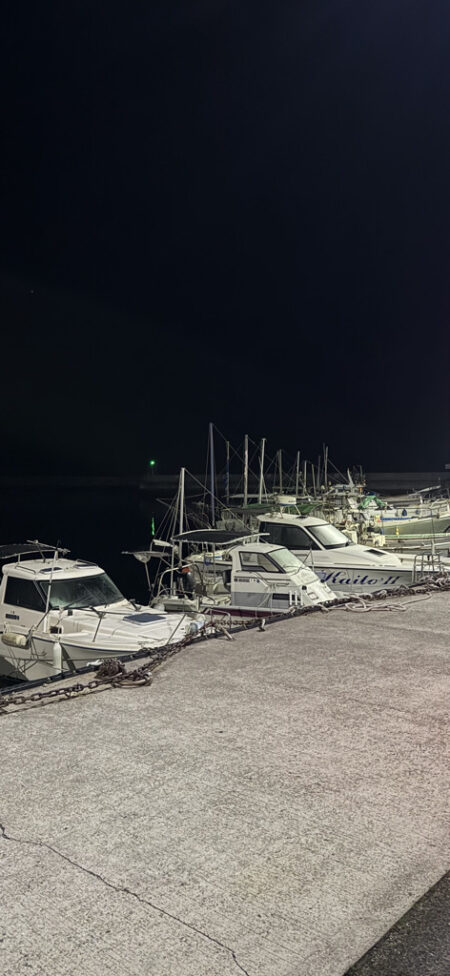 アジどこ居んの？