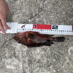 デカキモパン！