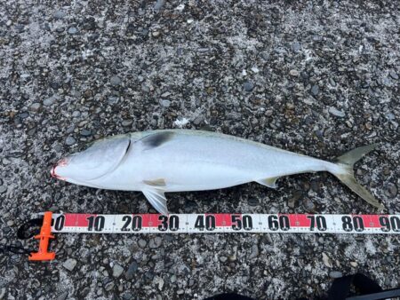 今シーズン初勝利！フルドラグで真っ向勝負！…