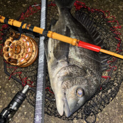 ヘチってきました