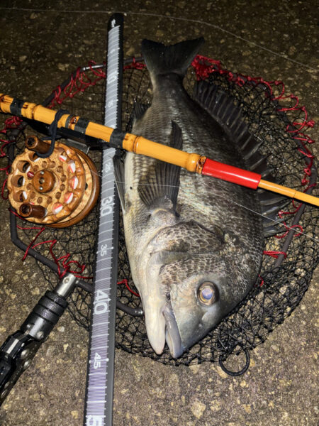 ヘチってきました