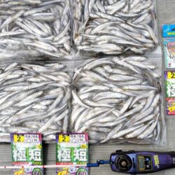 諏訪湖ワカサギ釣り！