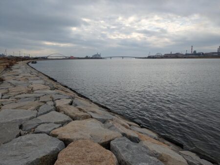 フラットフィッシュ