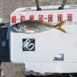 １年振りに水軒一文字へ