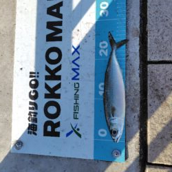 久しぶりの近場