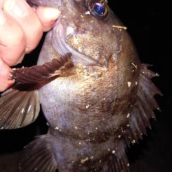 電気ウキ釣り 5