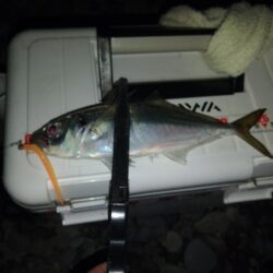 フロートゲ~ム~