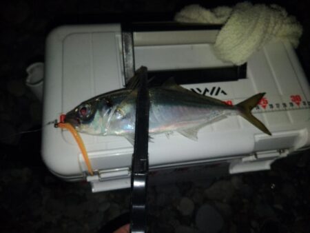 フロートゲ~ム~