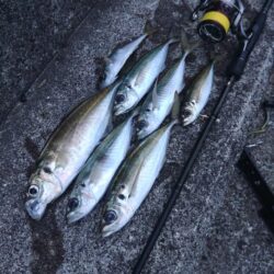 (尺アジ)フロートゲ～ム