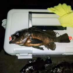 フロートゲ～ム。