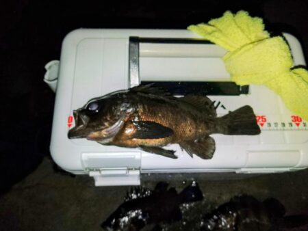 フロートゲ～ム。