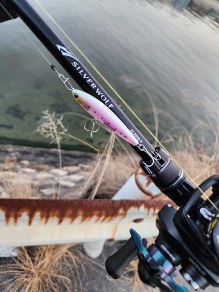 澪示威チニング