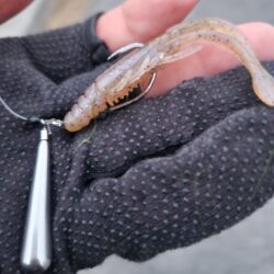 短時間チニング