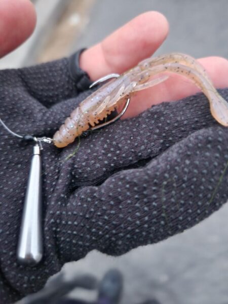 短時間チニング