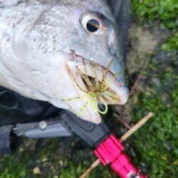 しごおわチニング