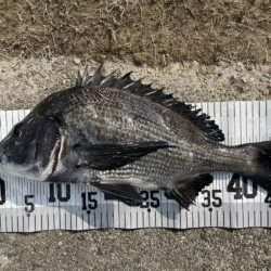 イチノ兄弟、釣果!