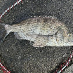 イチノ兄弟、釣果！