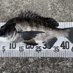 イチノ兄弟、釣果！