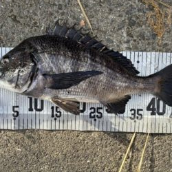 イチノ兄弟、釣果！