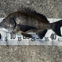 イチノ兄弟、釣果！