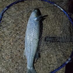 まだまだ厳しいかもです