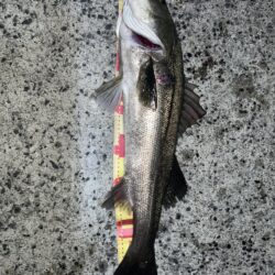 爆風ライトゲームでランカーGET❗️