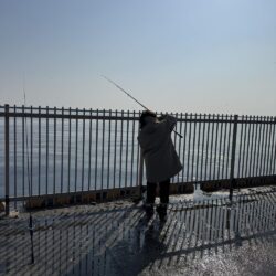 イワシ爆釣なり!